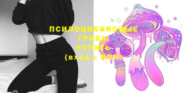 дмт Новозыбков