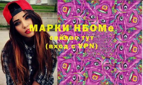 дмт Новозыбков