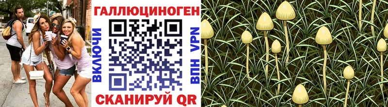 Псилоцибиновые грибы ЛСД  Купить  Чита 